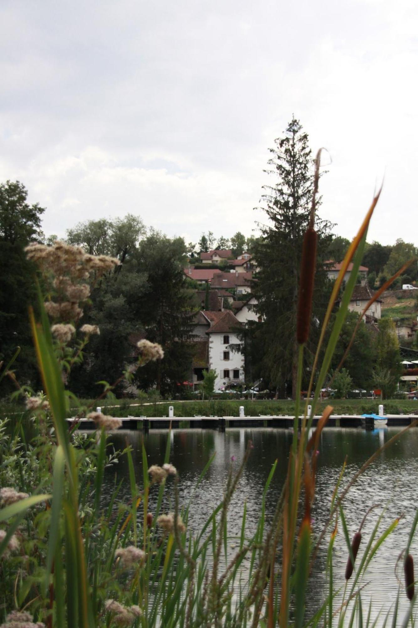 Le Doux Nid Bed & Breakfast Chanaz Bagian luar foto